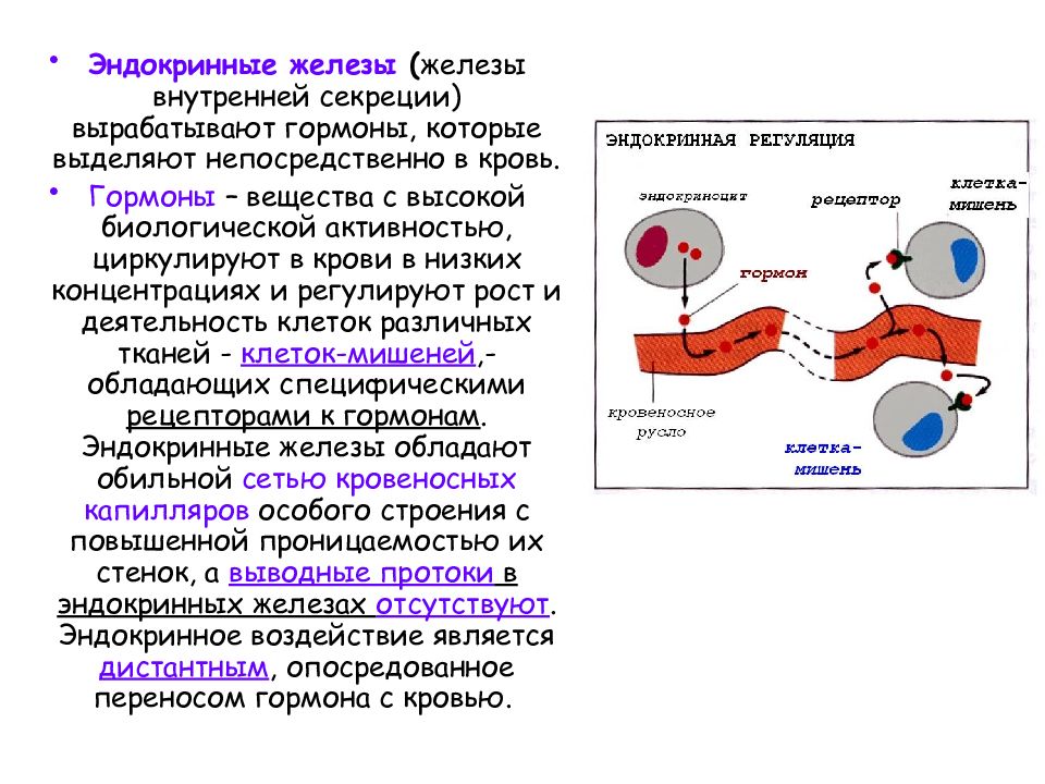 Тканевые гормоны презентация