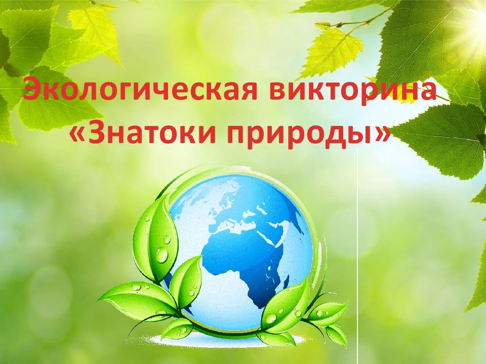 Экологическая викторина «Знатоки природы»