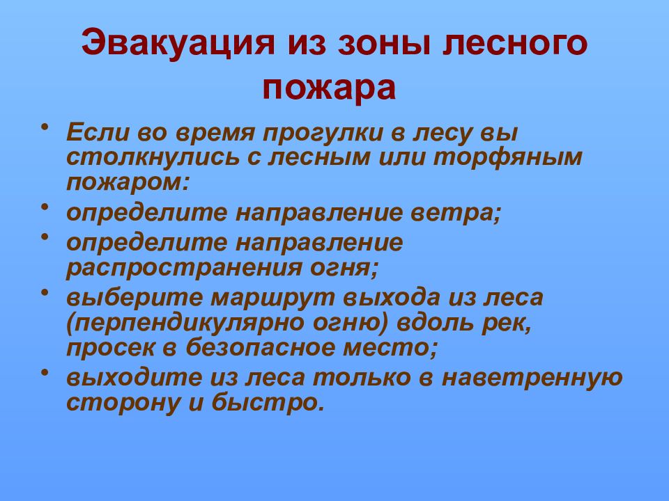 Саморазвитие экосистем сукцессии презентация