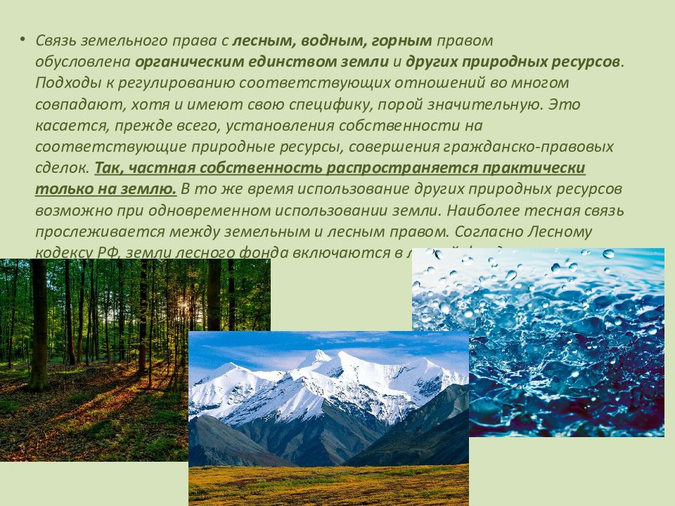 Лесов право. Соотношение земельного права с водным, лесным, горным правом. Соотношение земельного права с горным правом. Соотношение экологического права с лесным. Соотношение экологического права с лесным правом.