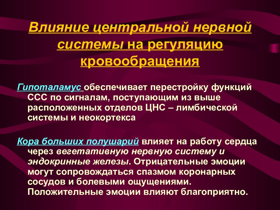 Центр влияния. Регуляция кровообращения физиология. Регуляция гемодинамики физиология. Физиология кровообращения презентация. Влияние эмоций на деятельность системы кровообращения.