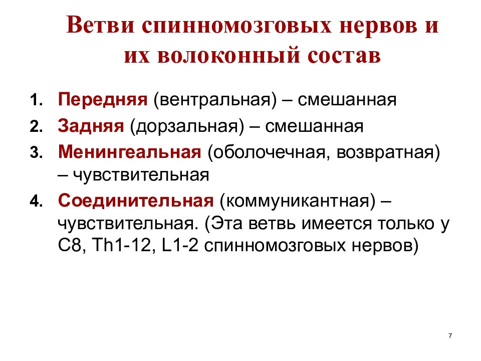 Функциональная анатомия периферической нервной системы презентация