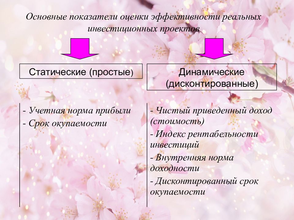 Статические и динамические методы оценки эффективности инвестиционных проектов