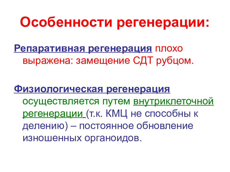 Регенерация с частичным замещением ампутированной структуры. Физиологическая регенерация характеристика. Физиологическая и репаративная регенерация тканей. Репаративная регенерация эпителия. Особенности физиологической регенерации.