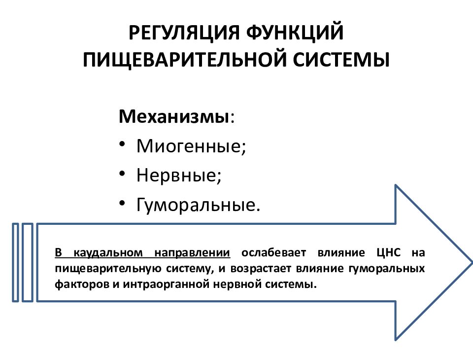 Регуляция пищеварения презентация