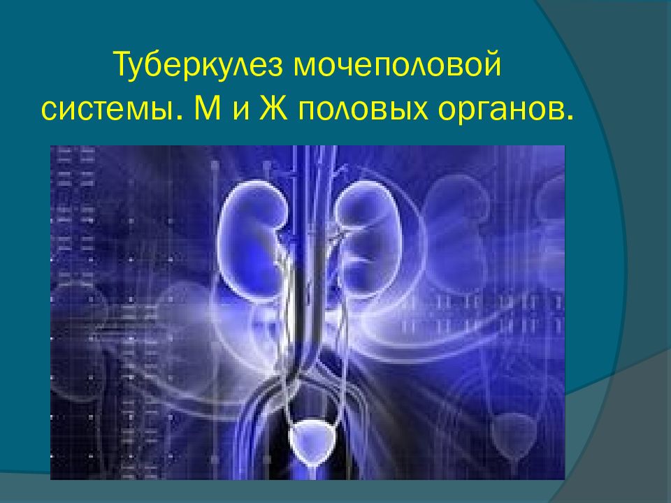 Туберкулез мочевой системы