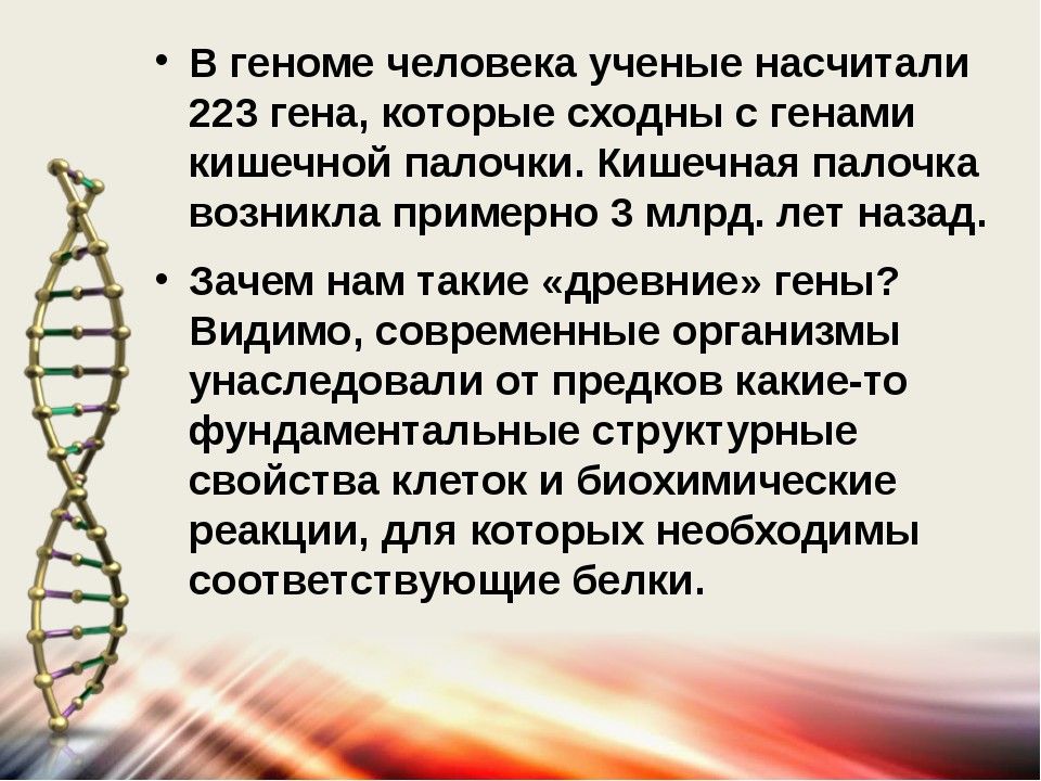 Современное представление о гене и геноме презентация