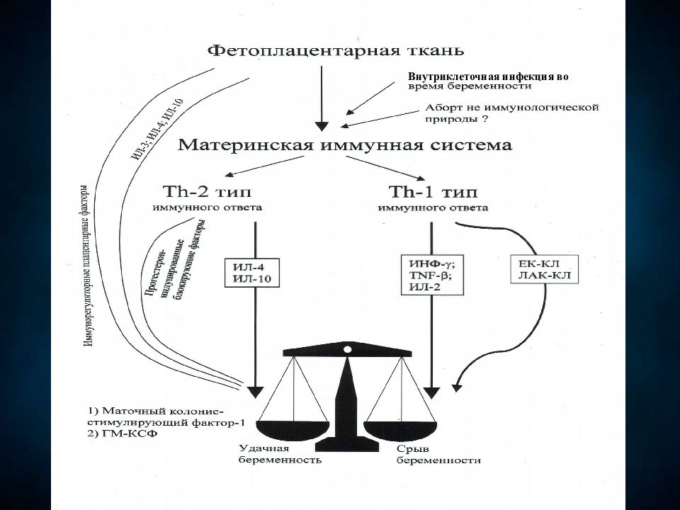 Иммунология репродукции. Иммунология репродукции иммунология. Иммунология репродукции презентация. Иммунология мужской репродуктивной системы.