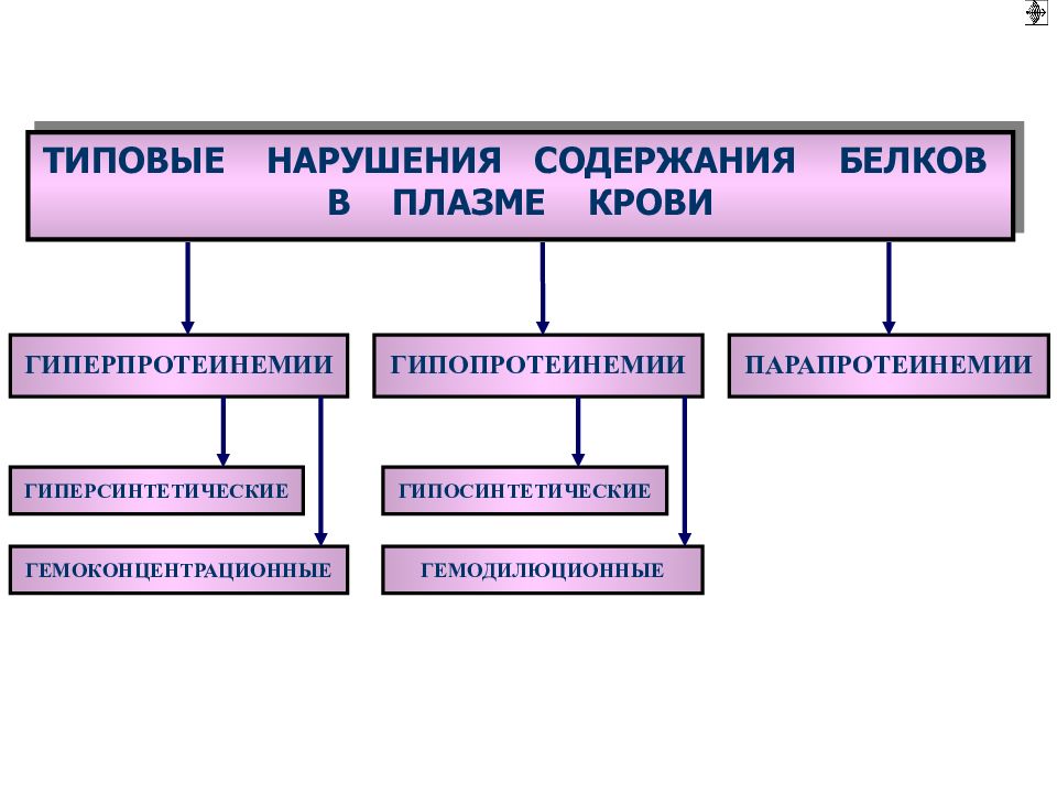 Типовые нарушения. Нарушение белкового обмена патогенез. Нарушение белкового обмена патофизиология. Типовые формы нарушения белкового обмена. Расстройства конечных этапов белкового обмена патофизиология.