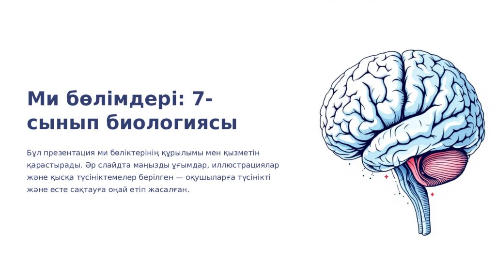 Ми бөлімдері: 7-сынып биологиясы Бұл презентация ми бөліктерінің құрылымы мен