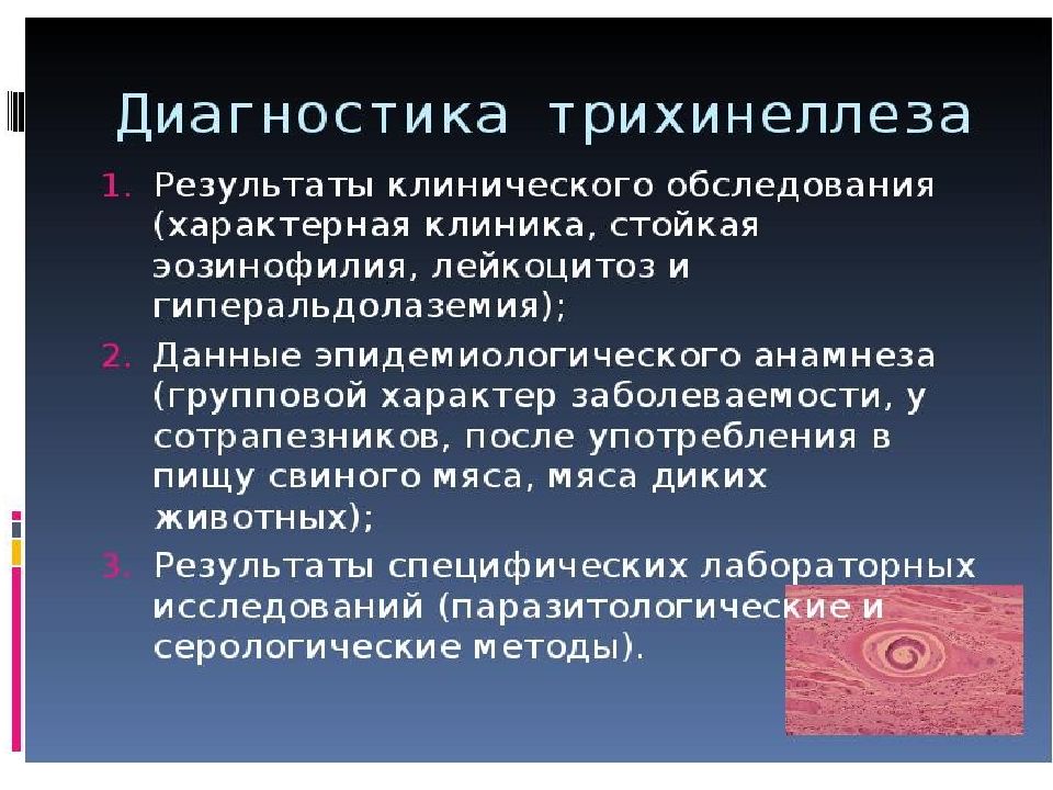 Лечение трихинеллеза. Основные клинические проявления трихинеллеза. Лабораторная диагностика трихинеллеза. Трихинелла методы диагностики. Методы лабораторной диагностики трихинеллеза.