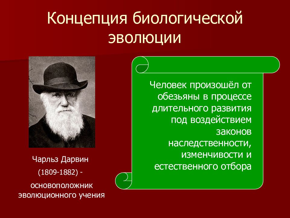 Современные концепции биологической эволюции презентация 10 класс