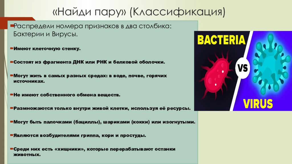 «Найди пару» (Классификация)