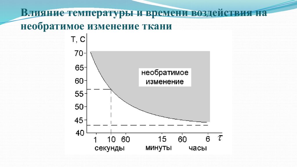 Влияние температуры на человека. Необратимые изменения. Влияние температуры на конверсию. Влияние времени.