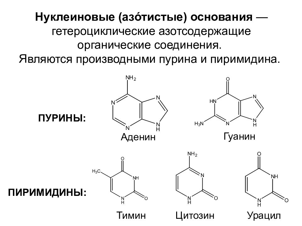 Соединение азотистых оснований. Азотистые основания производные пиримидина. Химическое строение аденина. Пурин аденин гуанин. Строение Пурина и его производных аденина и гуанина.
