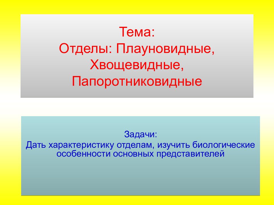 Тема: Отделы: Плауновидные, Хвощевидные, Папоротниковидные