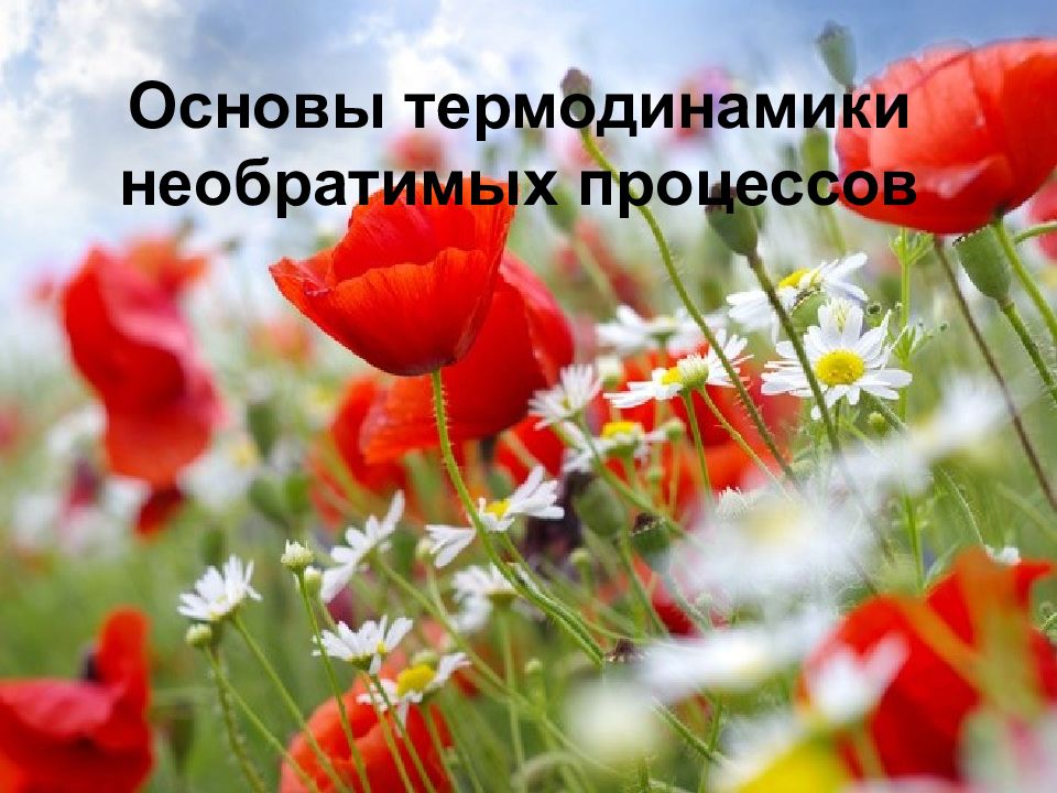 Основы термодинамики необратимых процессов
