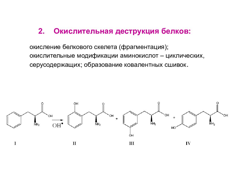Окисление белков. Реакция окисления белков. Окисление белка реакция. Деструкция белков.