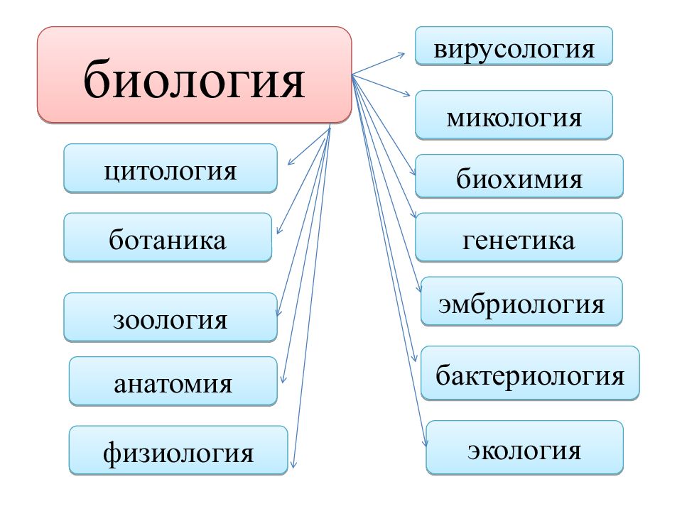 Презентация наука биология