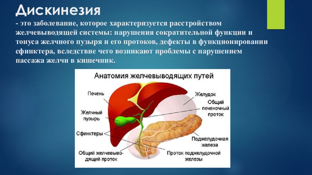 Дискинезия желчевыводящих путей презентация