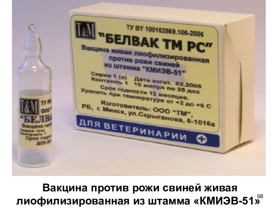 Вакцина ауески. Лиофилизированная вакцина это. Вакцинация против рожи свиней. Вакцина против рожи свиней из штамма ВР-2 Живая сухая.