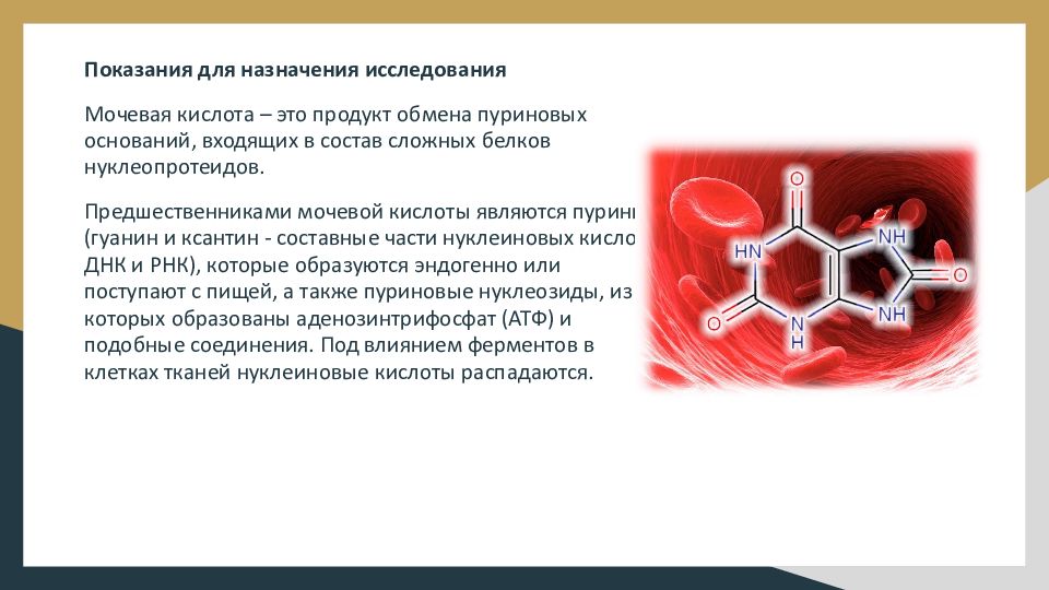 Презентация мочевая кислота