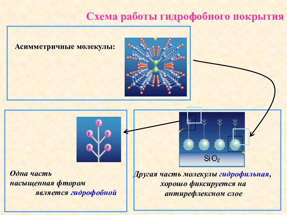 Гидрофобные молекулы. Гидрофобная часть. Асимметричные молекулы. Гидрофильное покрытие.