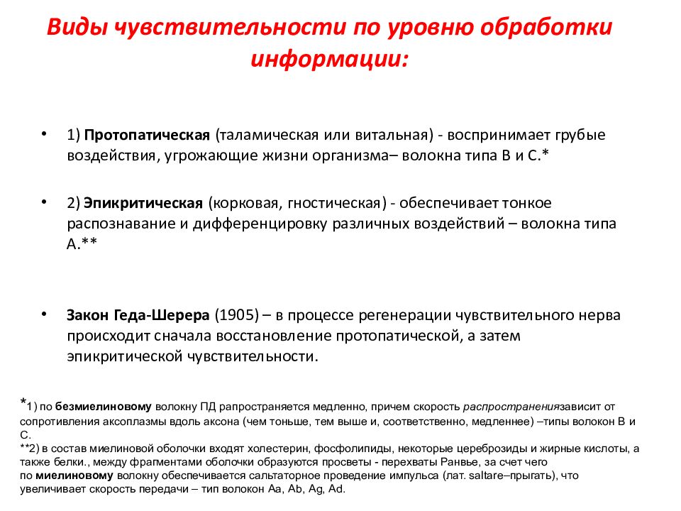 Схему структурной организации восприятия первичной локализованной боли эпикритической