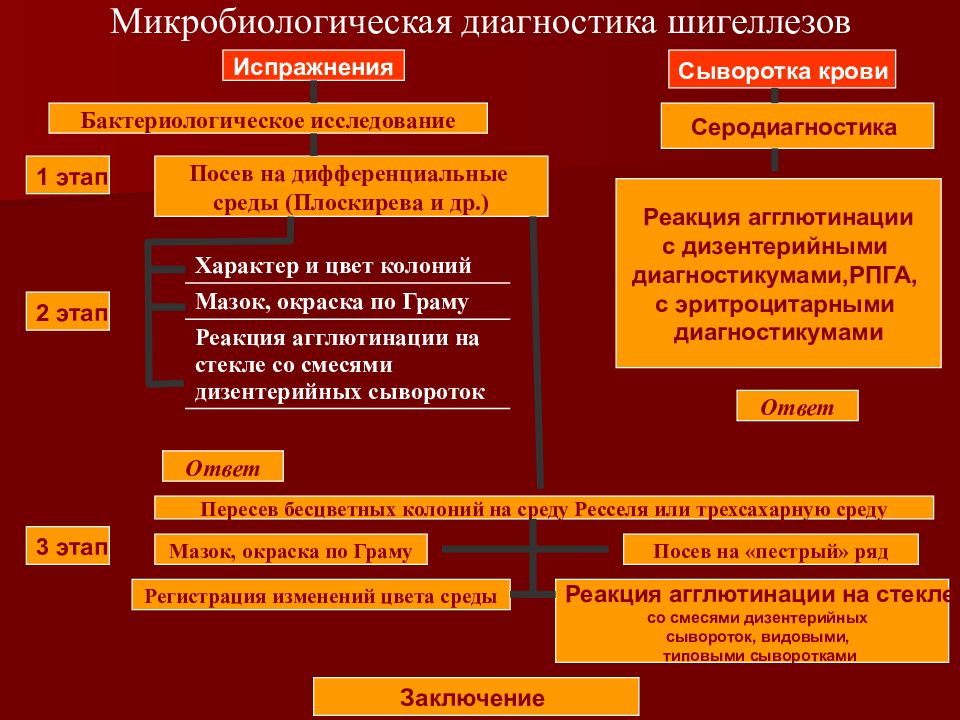 План обследования при шигеллезе