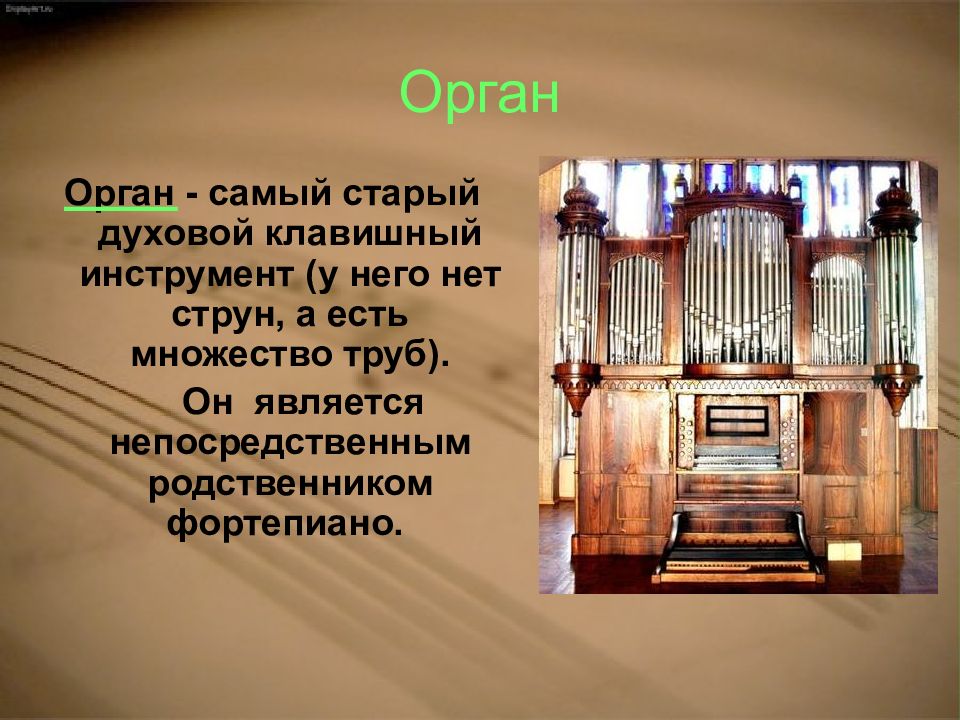 Презентация про орган