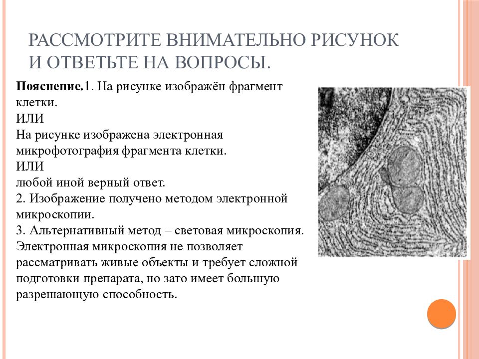 Рассмотрите внимательно рисунок и ответьте на вопросы что изображено на рисунке каким методом