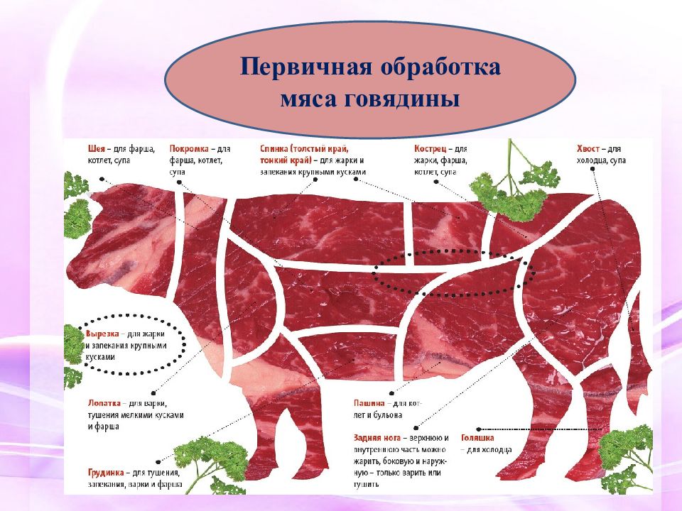 Антрекот из говядины какая часть туши фото