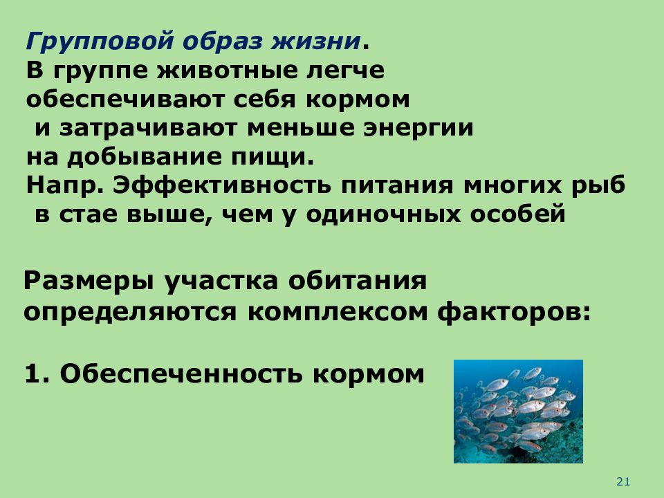 Структура популяций презентация 9 класс пасечник линия жизни