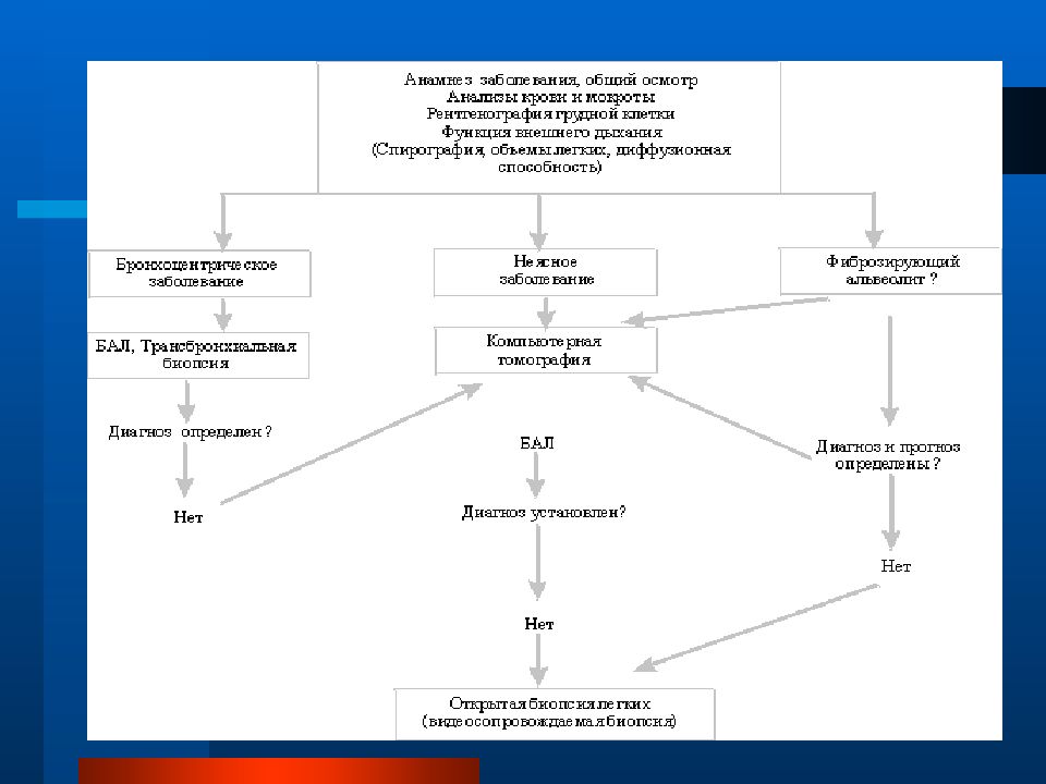 Заболевания легких презентация