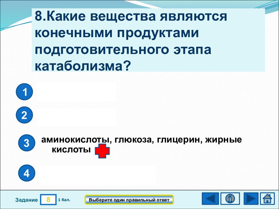 Конечные продукты подготовительного этапа