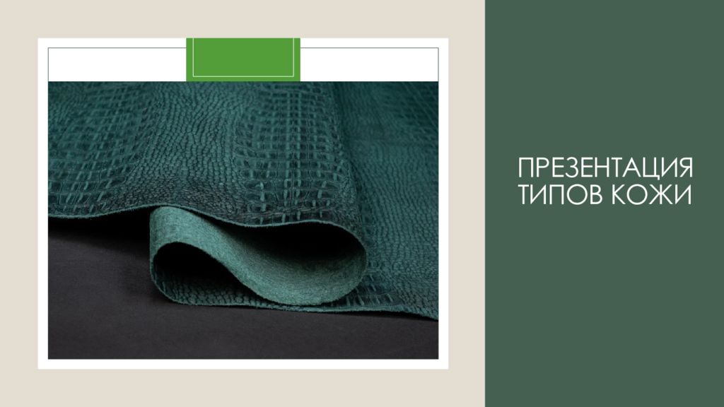 Презентация типов кожи