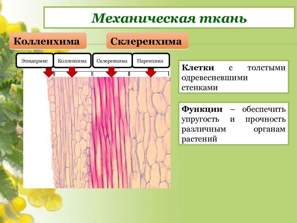 Механическая ткань рисунок