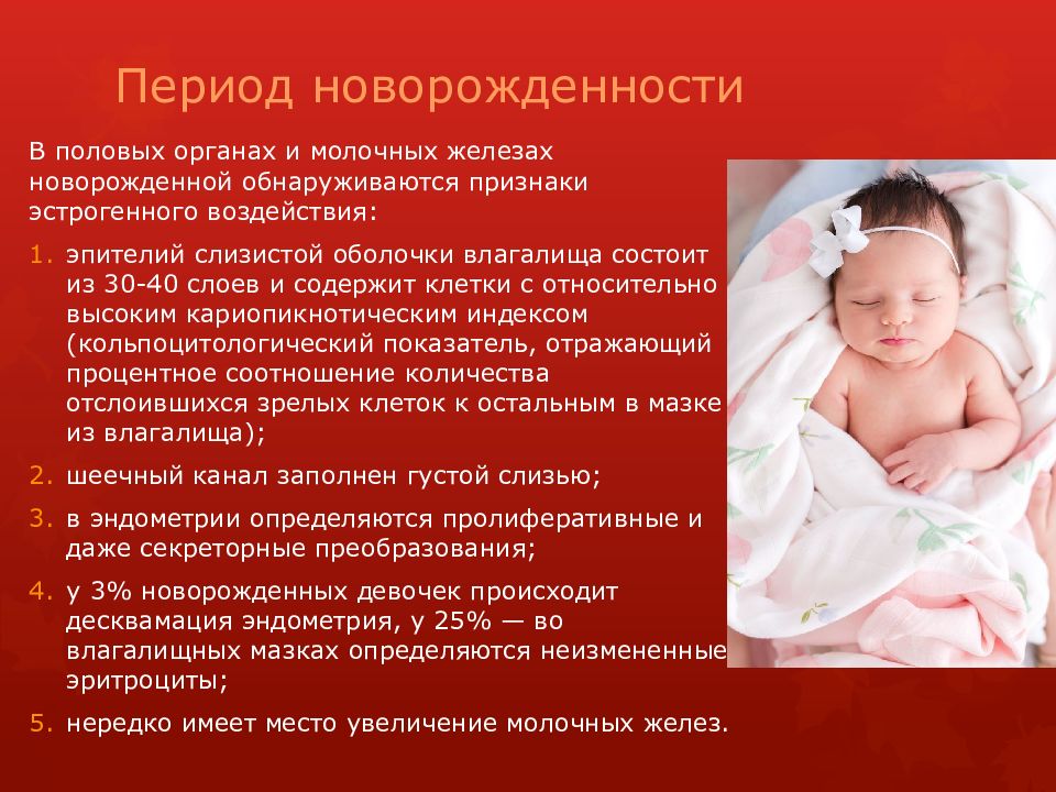 Менструальный цикл Период новорожденности