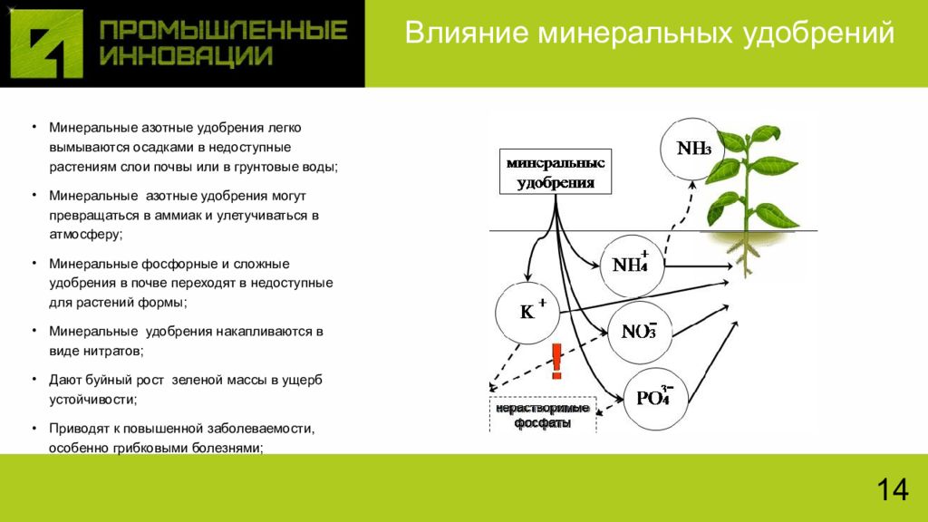 Влияние химических веществ на рост растений проект