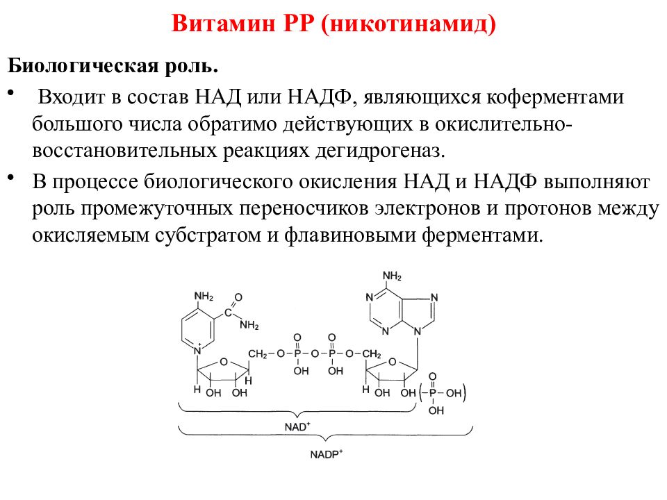 Над это. Структура и биологическая роль коферментов над и НАДФ. НАДФ биологическая роль. Строение кофермента НАДФ. Над и НАДФ кофермент какого витамина.