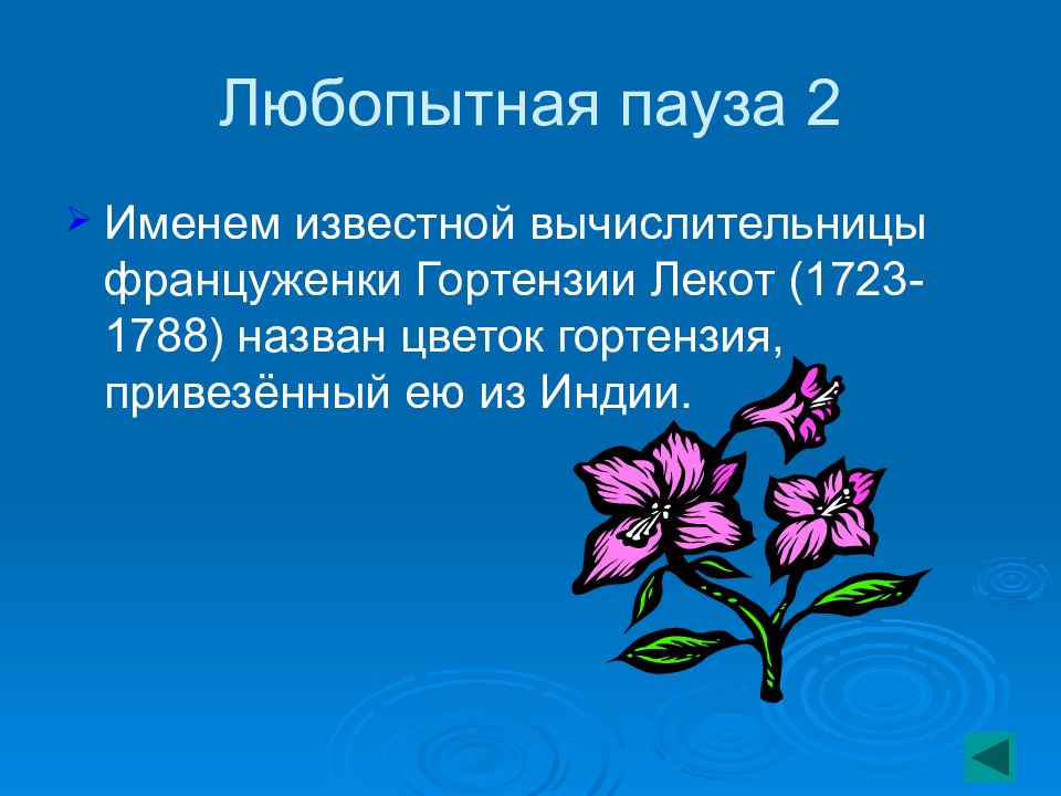 Какой цветок назван в честь женщины математика. Цветок из двух имен. Цветок названый двумя именами. Цветок из 2 имен.