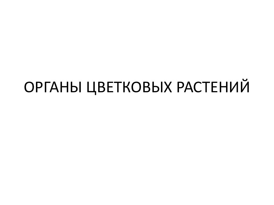ОРГАНЫ ЦВЕТКОВЫХ РАСТЕНИЙ