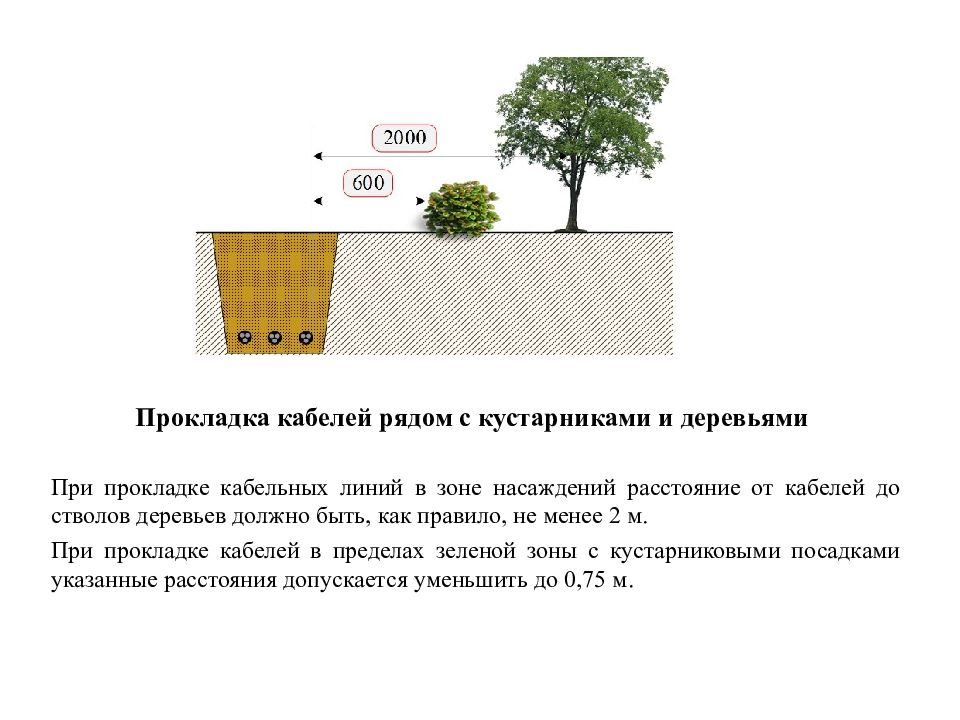 Расстояние от проводов. Расстояние от кабеля до дерева. Прокладка кабеля рядом с деревьями и кустарниками. Прокладка кабеля в земле вблизи деревьев, кустарников. От ствола дерева до кабельной линии.