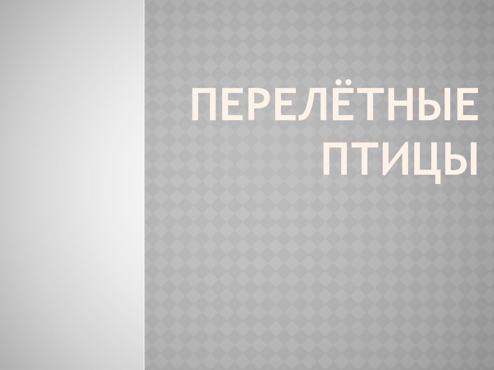 ПЕРЕЛЁТНЫЕ ПТИЦЫ