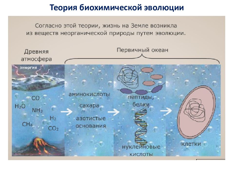 Биохимическая гипотеза рисунок