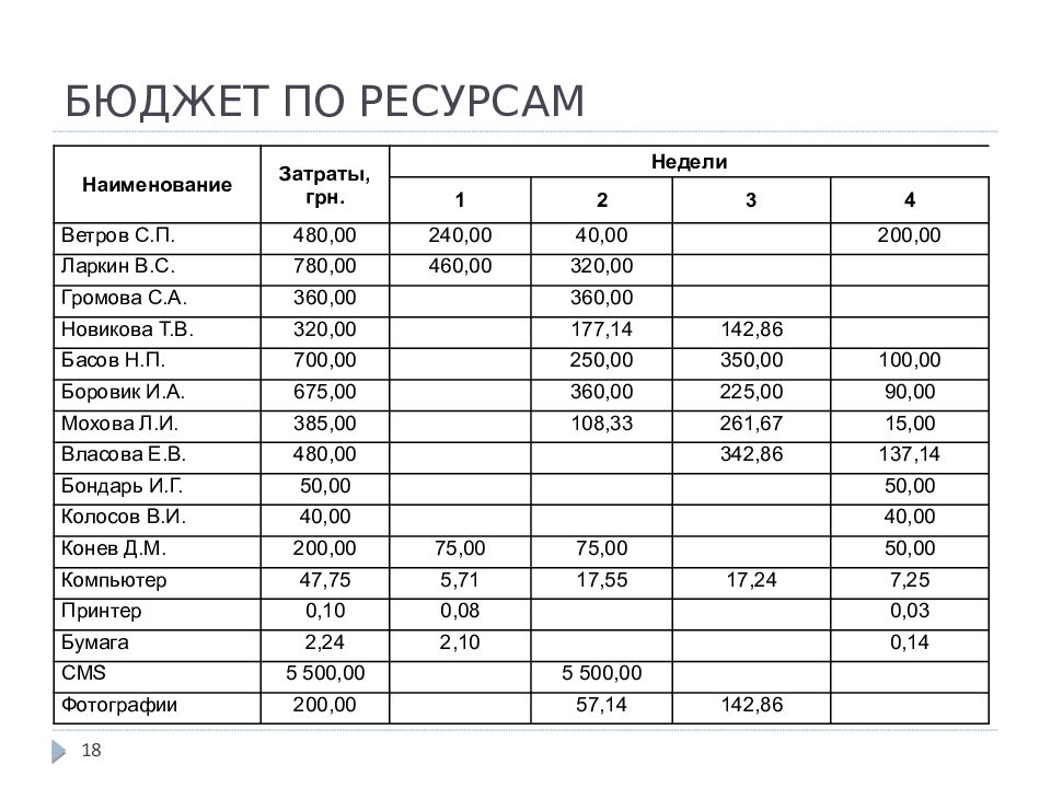 Анализ бюджета проекта