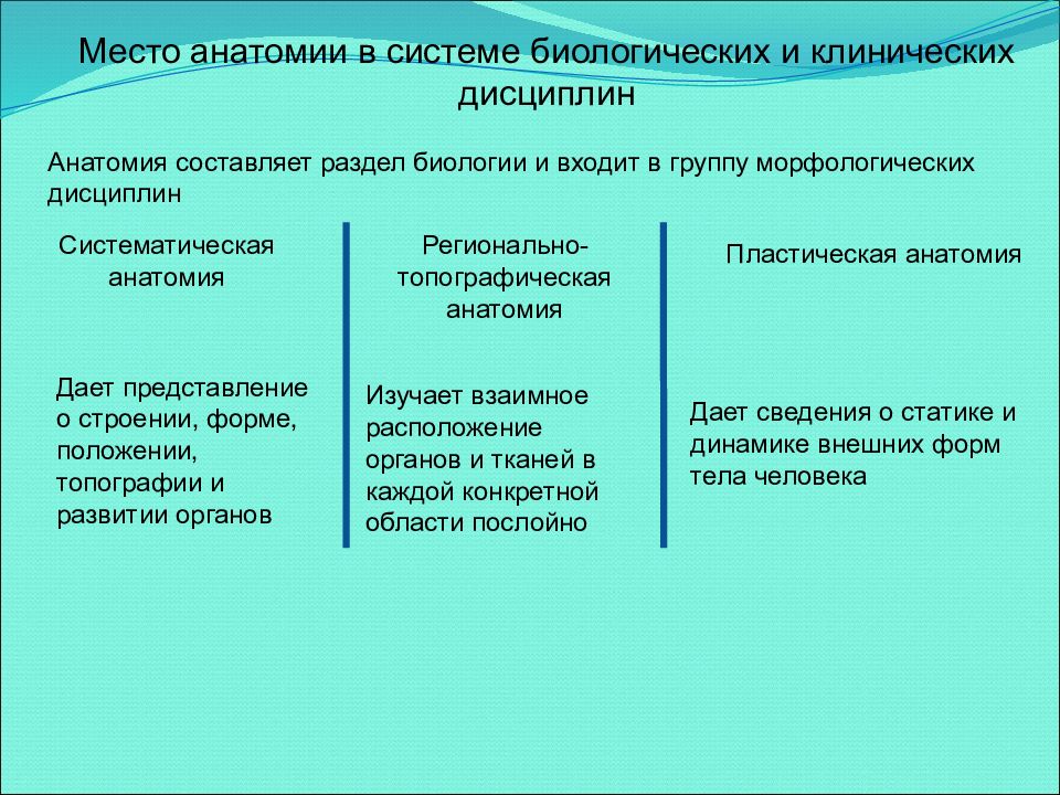 Значение анатомии для медицины. Предмет и содержание анатомии. Анатомия в ряду биологических дисциплин. Анатомия и ее место в ряду биологических дисциплин. Место анатомии человека в ряду биологических дисциплин..