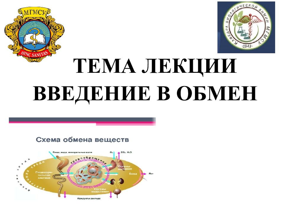 ТЕМА ЛЕКЦИИ