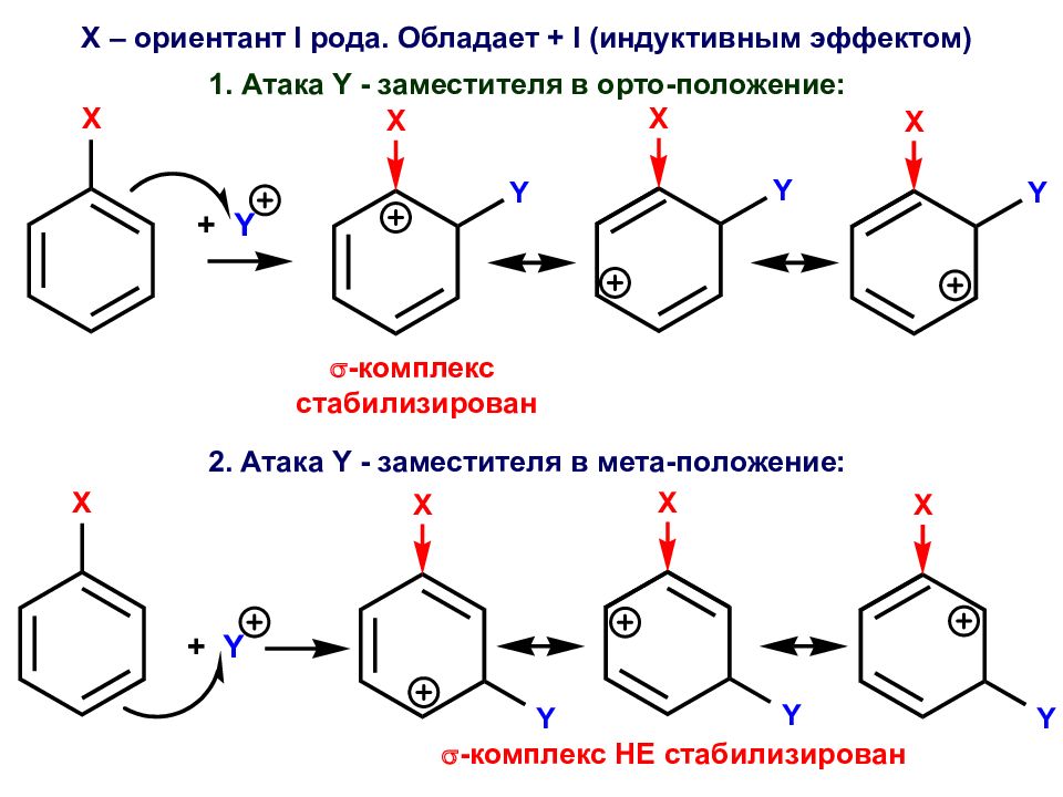 Орто положение