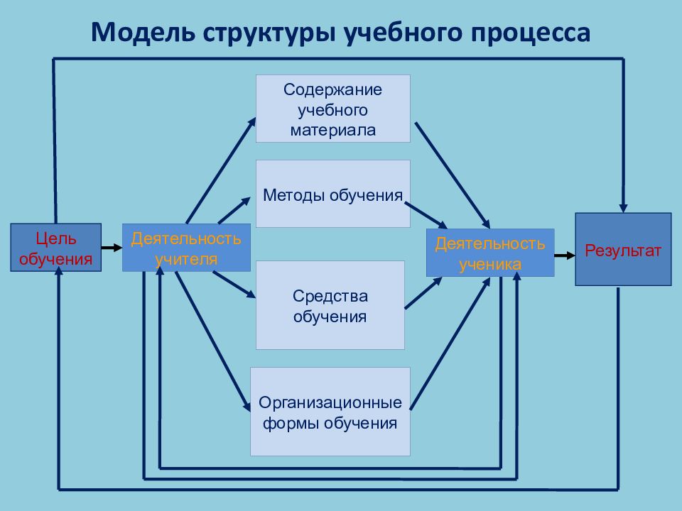 Модели обучения. Структура учебного процесса. Модель структуры образовательного процесса. Модель обучения схема. Структура методики преподавания биологии.